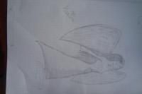 Desenele mele - ~B.I.K.~ - \Fan Art/